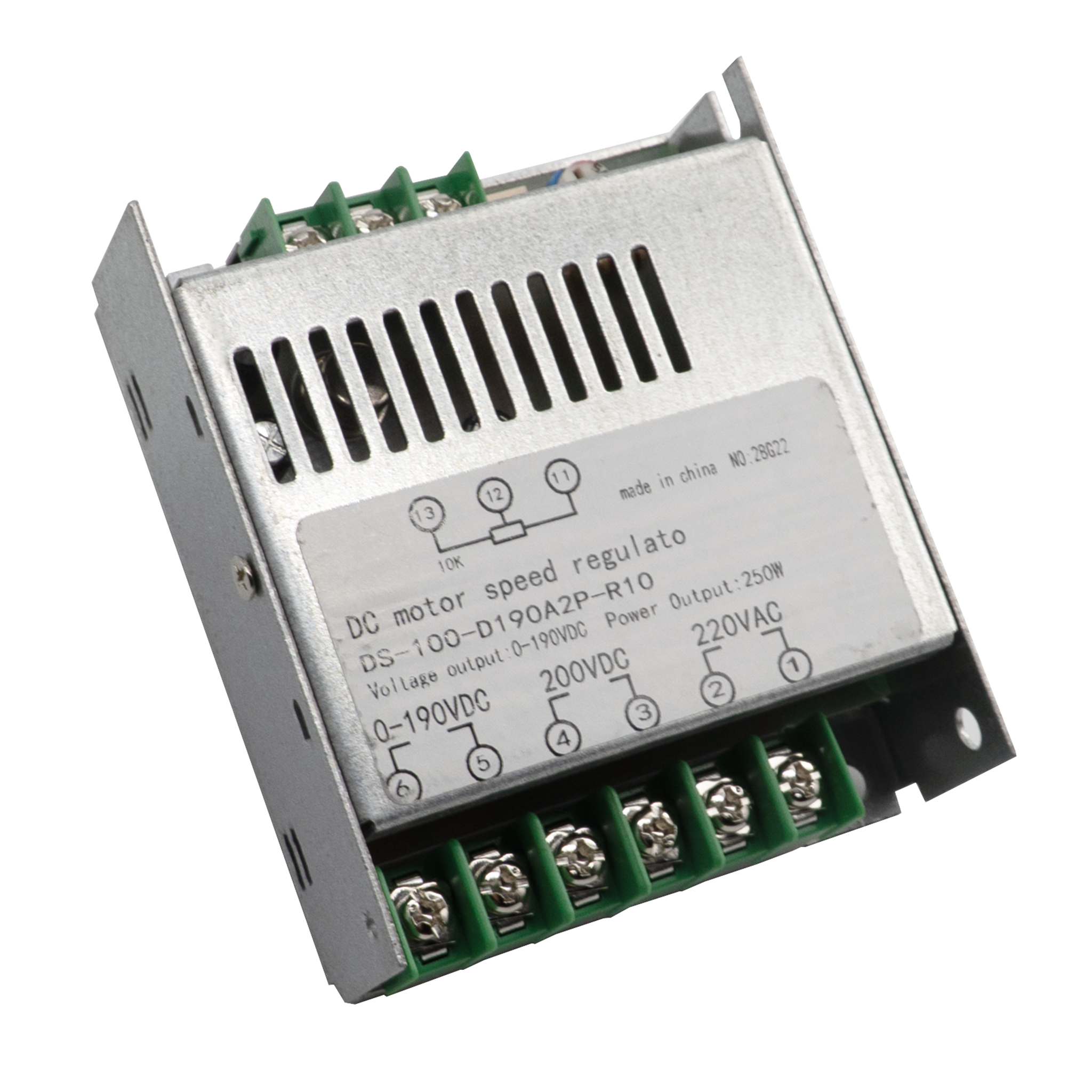 DC Motor Speed Regulator, DS-100-D190A2P-R10 for E-CBS-1010I-220